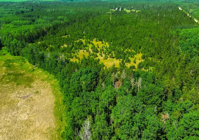 Photo 4 of Land for sale at Tract 1 - Tbd Hubbard Line Rd, Menahga, MN 56464 | MLS# 7116329 | Listing updated on 2026-07-28