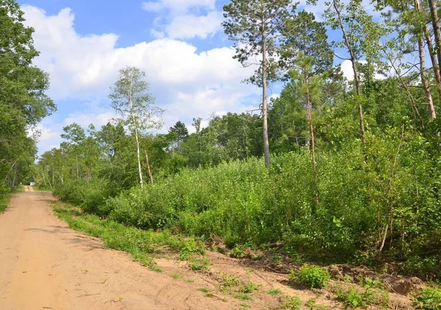 Photo 1 of Land for sale at Xyz Firewood Trl, Park Rapids, MN 56470 | MLS# 7116395 | Listing updated on 2026-07-27