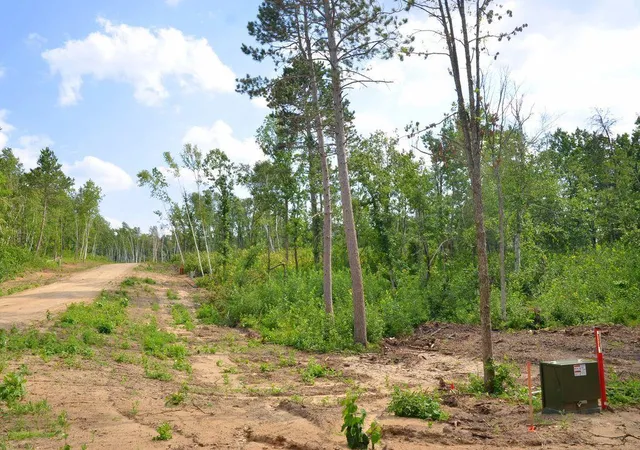Photo 4 of Land for sale at Xyz Firewood Trl, Park Rapids, MN 56470 | MLS# 7116395 | Listing updated on 2026-07-27