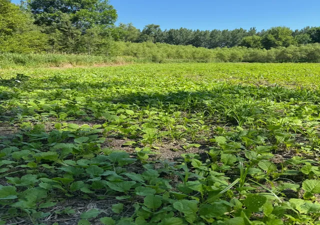 3rd image of Tbd Us Hwy 169, Le Sueur, MN 56058 | MLS# 7116435