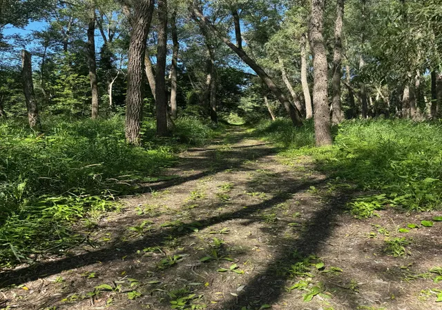 4th image of Tbd Us Hwy 169, Le Sueur, MN 56058 | MLS# 7116435