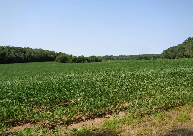 Photo 1 of Sale Pending at Xxx 250th Street, Saint Croix Falls, WI 54024 | MLS# 7116531 | Listing updated on 2026-08-27
