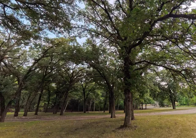 Photo 4 of Land for sale at Lot 1 S Le Homme Dieu Dr NE, Alexandria, MN 56308 | MLS# 7117088 | Listing updated on 2026-08-05