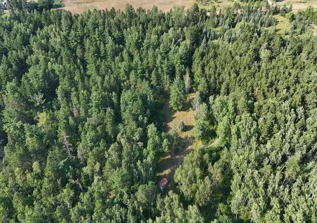 20th image of Tbd Fredenburg Rd Sw, Solway, MN 56678 | MLS# 7117220