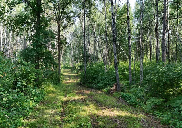 2nd image of Tbd Fredenburg Rd Sw, Solway, MN 56678 | MLS# 7117220