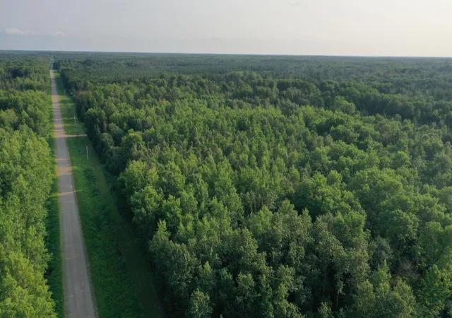Photo 4 of Land for sale at 1159 Hwy 83/overton Rd, Meadowlands, MN 55765 | MLS# 7117248 | Listing updated on 2026-10-09