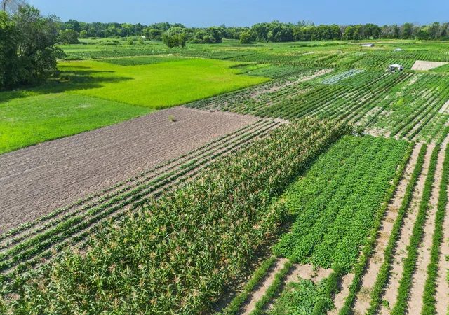 Photo 3 of Land for sale at 10625 County Rd 116, Rogers, MN 55374 | MLS# 7117265 | Listing updated on 2026-07-28