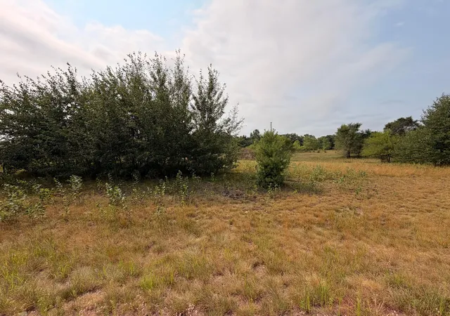 Photo 1 of Land for sale at 1961 Nelson Lake Rd, Pillager, MN 56473 | MLS# 7117332 | Listing updated on 2026-08-26