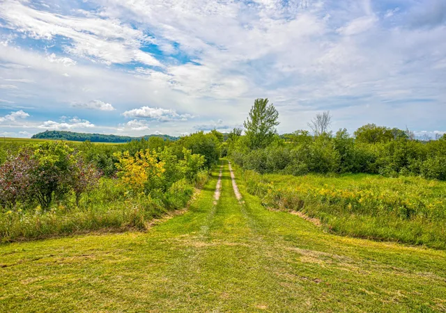 Photo 4 of Land for sale at N5314 765th Street, Elk Mound, WI 54739 | MLS# 7117498 | Listing updated on 2026-07-29