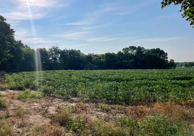 1st image of Xxx 130th Avenue, Milaca, MN 56353 | MLS# 7117520