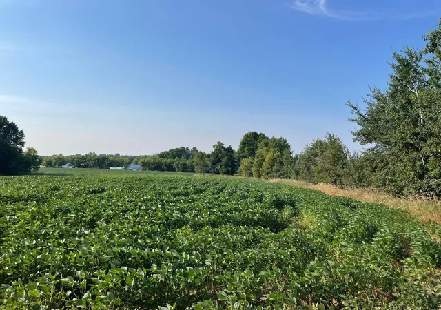 2nd image of Xxx 130th Avenue, Milaca, MN 56353 | MLS# 7117520