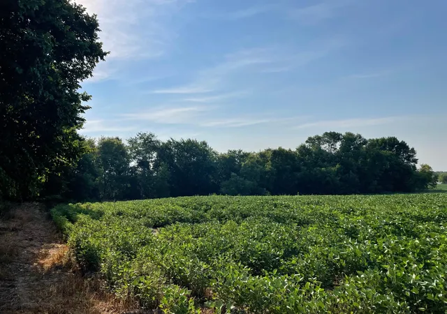 3rd image of Xxx 130Th Avenue, Milaca, MN 56353 | MLS# 7117520