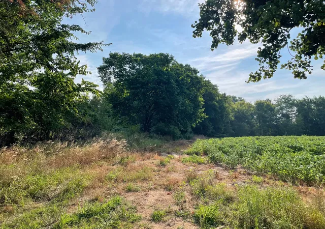 4th image of Xxx 130Th Avenue, Milaca, MN 56353 | MLS# 7117520