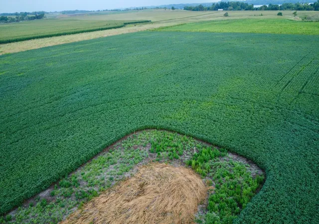 Photo 2 of Land for sale at 13723 Bernard Ave, Big Stone City, SD 57216 | MLS# 7117589 | Listing updated on 2026-07-31
