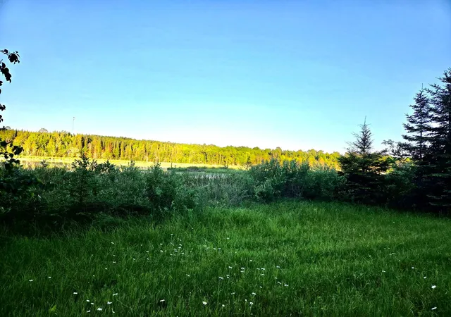 2nd image of Tbd 190Th St, Bagley, MN 56621 | MLS# 7117732