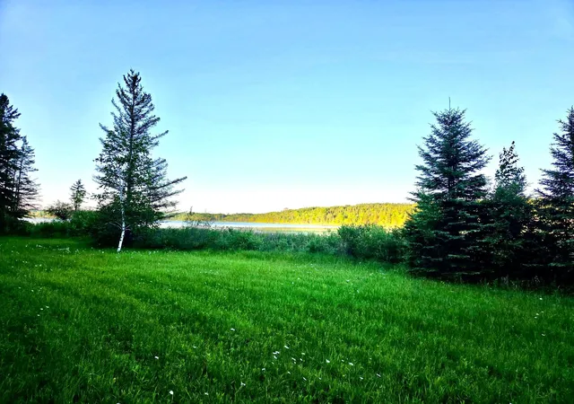 4th image of Tbd 190Th St, Bagley, MN 56621 | MLS# 7117732