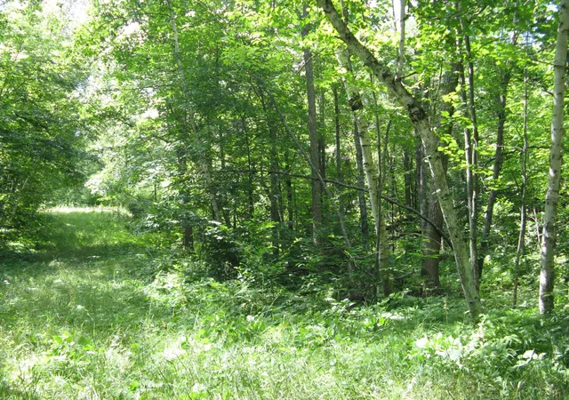 2nd image of Tbd Alpine Cir, Pequot Lakes, MN 56472 | MLS# 7117930