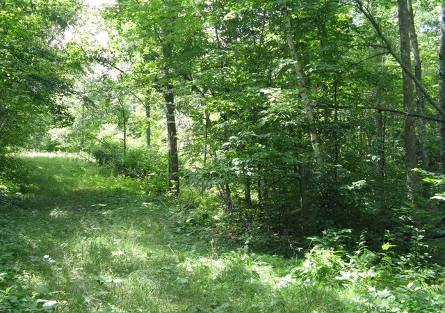 3rd image of Tbd Alpine Cir, Pequot Lakes, MN 56472 | MLS# 7117930