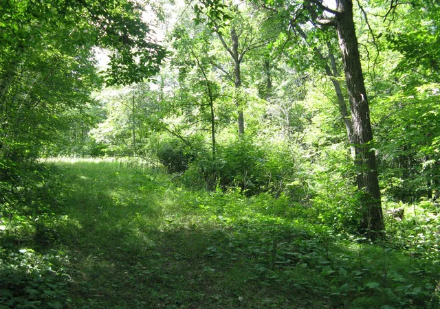 4th image of Tbd Alpine Cir, Pequot Lakes, MN 56472 | MLS# 7117930