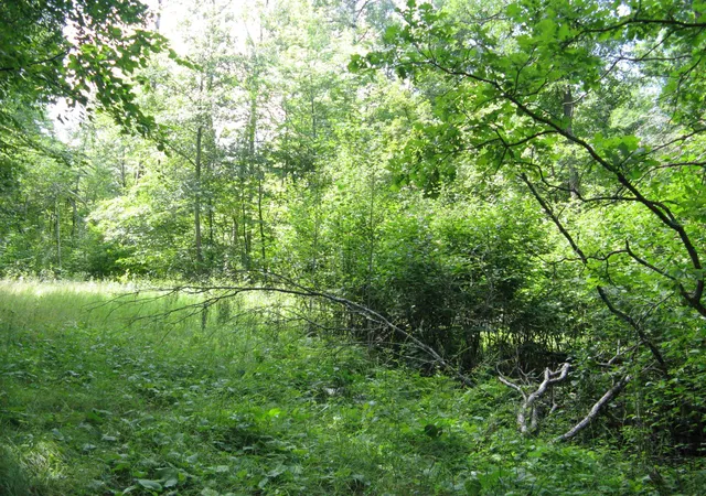 5th image of Tbd Alpine Cir, Pequot Lakes, MN 56472 | MLS# 7117930