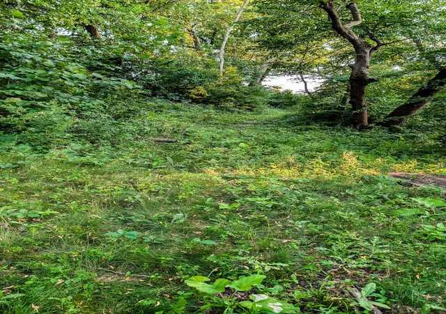 Photo 3 of Land for sale at 1701 Oakwood Ter, Albert Lea, MN 56007 | MLS# 7117960 | Listing updated on 2026-07-29