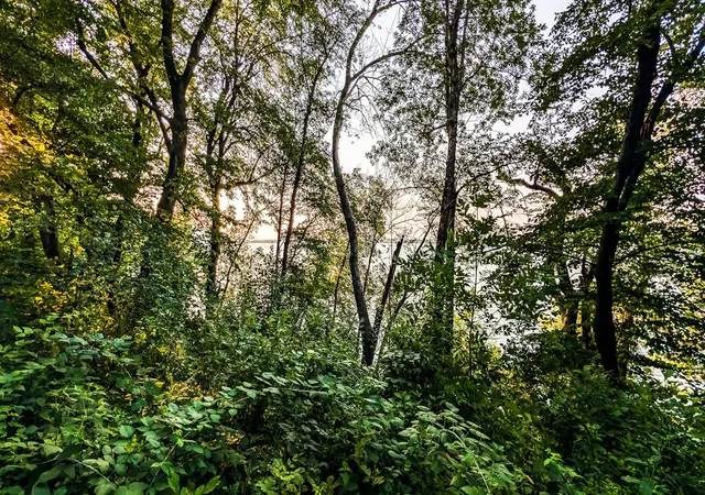 Photo 4 of Land for sale at 1701 Oakwood Ter, Albert Lea, MN 56007 | MLS# 7117960 | Listing updated on 2026-07-29