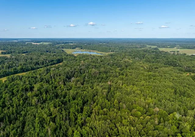 1st image of Tbd Skyview St, Brook Park, MN 55007 | MLS# 7118033