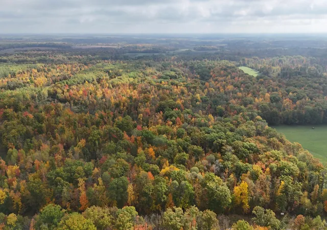 Photo 2 of Land for sale at Tbd Skyview St, Brook Park, MN 55007 | MLS# 7118033 | Listing updated on 2026-09-30