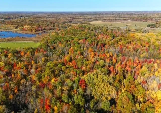 73rd image of Tbd Skyview St, Brook Park, MN 55007 | MLS# 7118033
