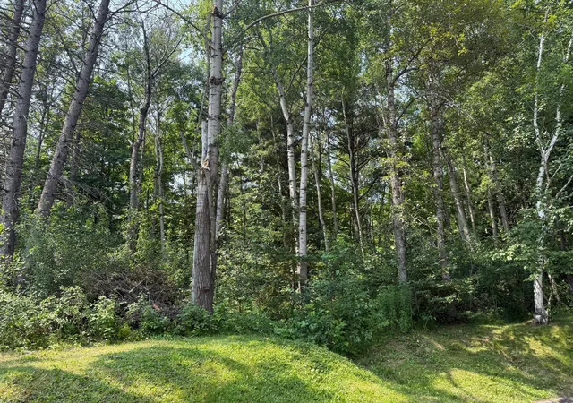 5th image of Tbd North 83rd Ave W, Duluth, MN 55807 | MLS# 7118042