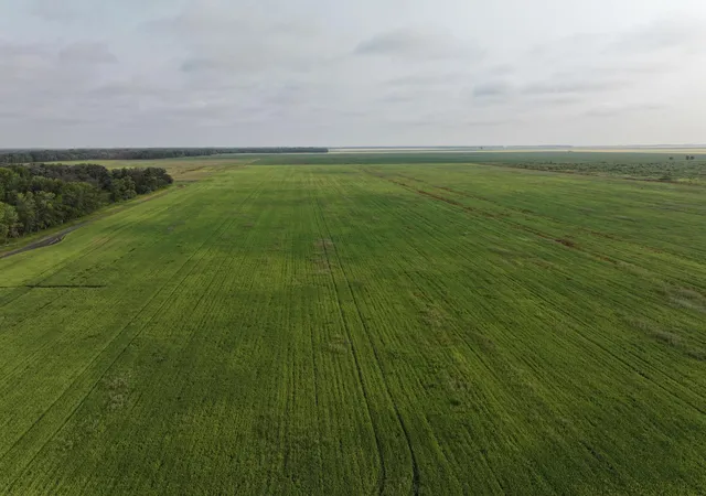 Photo 1 of Land for sale at 390th Street Nw, Stephen, MN 56757 | MLS# 7118072 | Listing updated on 2026-07-29