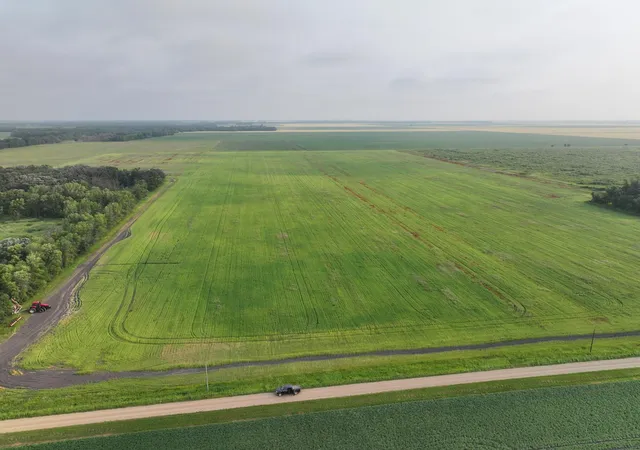 Photo 2 of Land for sale at 390th Street Nw, Stephen, MN 56757 | MLS# 7118072 | Listing updated on 2026-07-29