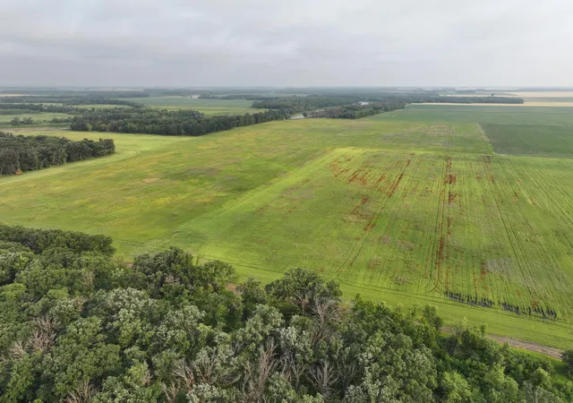 Photo 2 of Land for sale at 390th Street NW, Stephen, MN 56757 | MLS# 7118072 | Listing updated on 2026-07-29