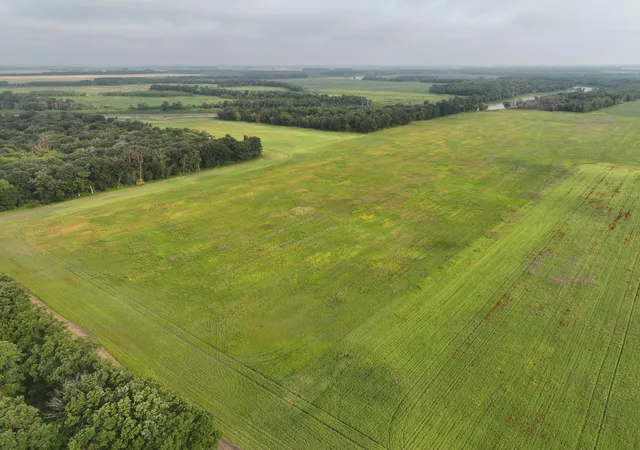 Photo 3 of Land for sale at 390th Street NW, Stephen, MN 56757 | MLS# 7118072 | Listing updated on 2026-07-29