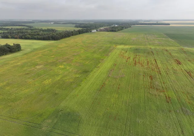 Photo 4 of Land for sale at 390th Street NW, Stephen, MN 56757 | MLS# 7118072 | Listing updated on 2026-07-29