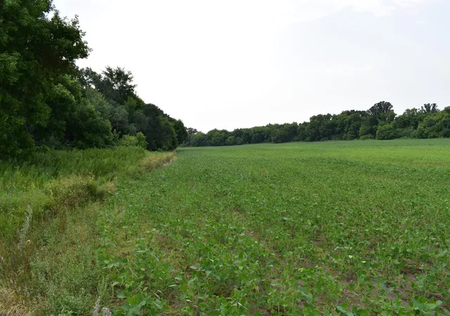Photo 30 of Sale Pending at 103rd Street Ne, Walhalla, ND 58282 | MLS# 7118166 | Listing updated on 2026-08-21