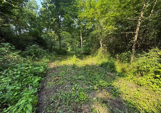 28th image of Tbd County 45 Blvd, Red Wing, MN 55066 | MLS# 7118191