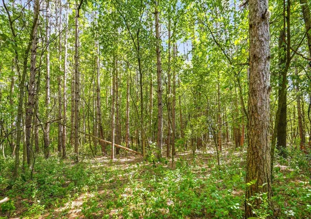 8th image of Tbd Lot 2 W Fourth, New Richmond, WI 54017 | MLS# 7118293