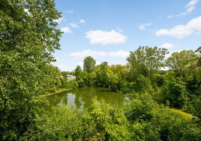 23rd image of 2161 Cool Stream Cir #1603, Saint Paul, MN 55122 | MLS# 7118380