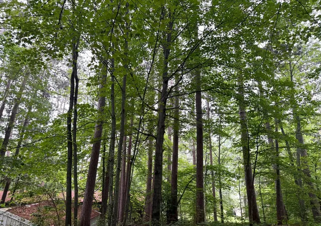 Photo 4 of Land for sale at 47458 182nd Avenue, Mc Gregor, MN 55760 | MLS# 7118603 | Listing updated on 2026-09-01