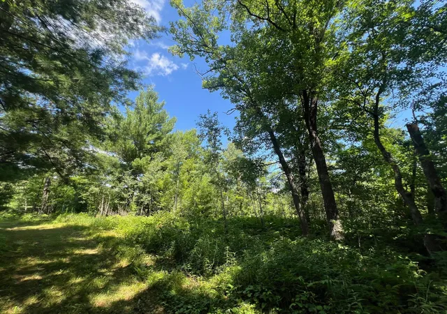15th image of Xxxxx Lily Lake Inn Rd, Webster, WI 54893 | MLS# 7118635