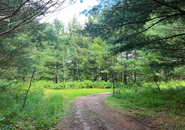 2nd image of Xxxxx Lily Lake Inn Rd, Webster, WI 54893 | MLS# 7118635