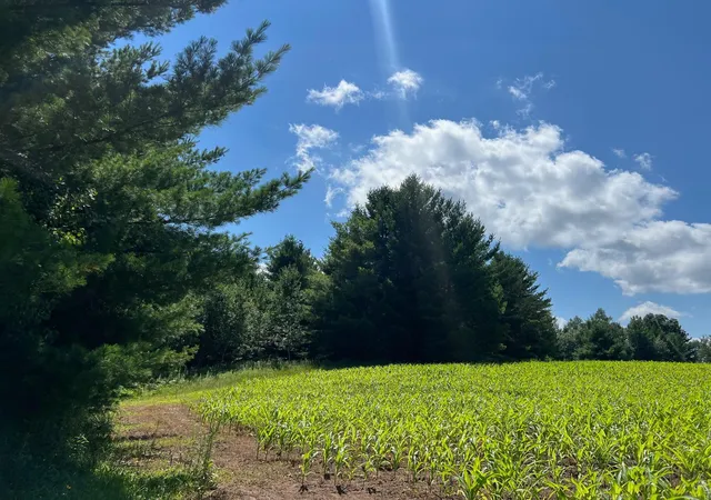 3rd image of Xxxxx Lily Lake Inn Rd, Webster, WI 54893 | MLS# 7118635