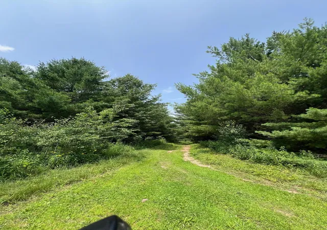 4th image of Xxxxx Lily Lake Inn Rd, Webster, WI 54893 | MLS# 7118635
