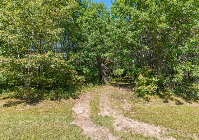 Photo 4 of Land for sale at Tract A Tbd Little Pine Rd, Brainerd, MN 56401 | MLS# 7118649 | Listing updated on 2026-09-23