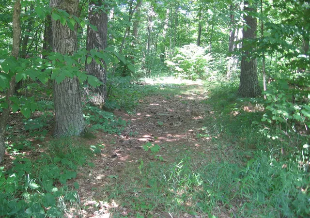 Photo 2 of Sale Pending at Tbd County 5 Nw, Hackensack, MN 56452 | MLS# 7118800 | Listing updated on 2026-08-10