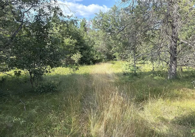 Photo 3 of Land for sale at S13160 Camp Rd, Fairchild, WI 54741 | MLS# 7118887 | Listing updated on 2026-07-31