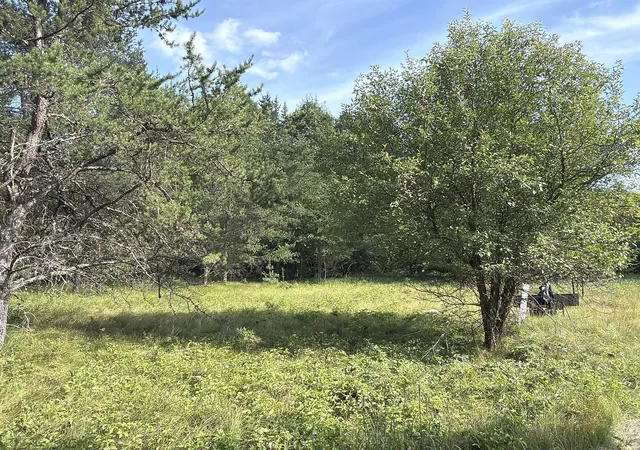 Photo 3 of Land for sale at S13160 Camp Rd, Fairchild, WI 54741 | MLS# 7118887 | Listing updated on 2026-07-31