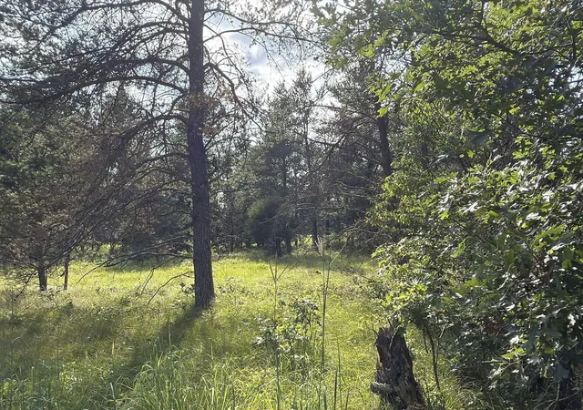 Photo 4 of Land for sale at S13160 Camp Rd, Fairchild, WI 54741 | MLS# 7118887 | Listing updated on 2026-07-31