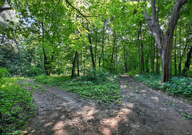 19th image of Tbd Johnson Rd Ne, Nelson, MN 56355 | MLS# 7119043